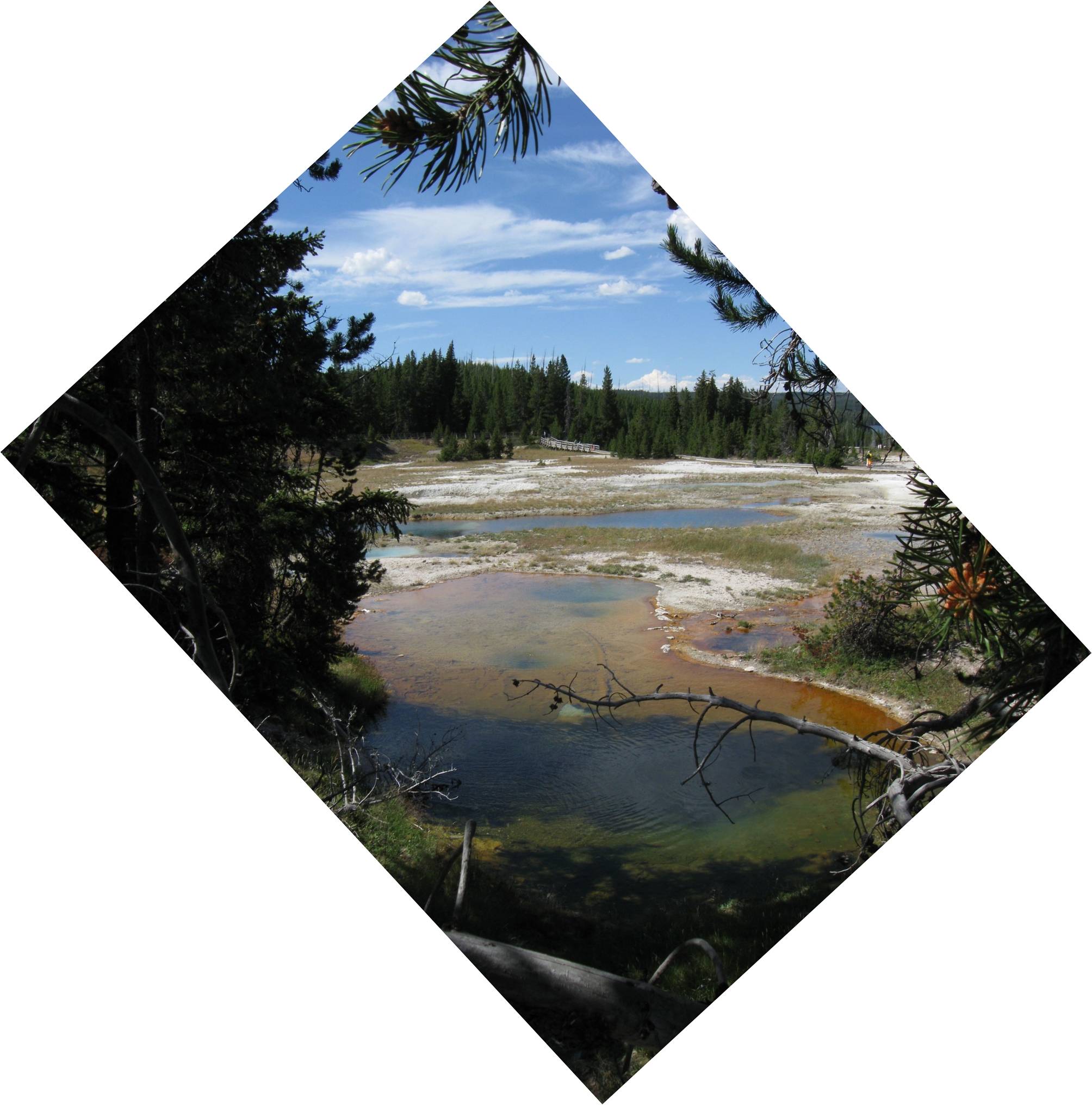 Image: A view of the West Thumb Geyser Basin