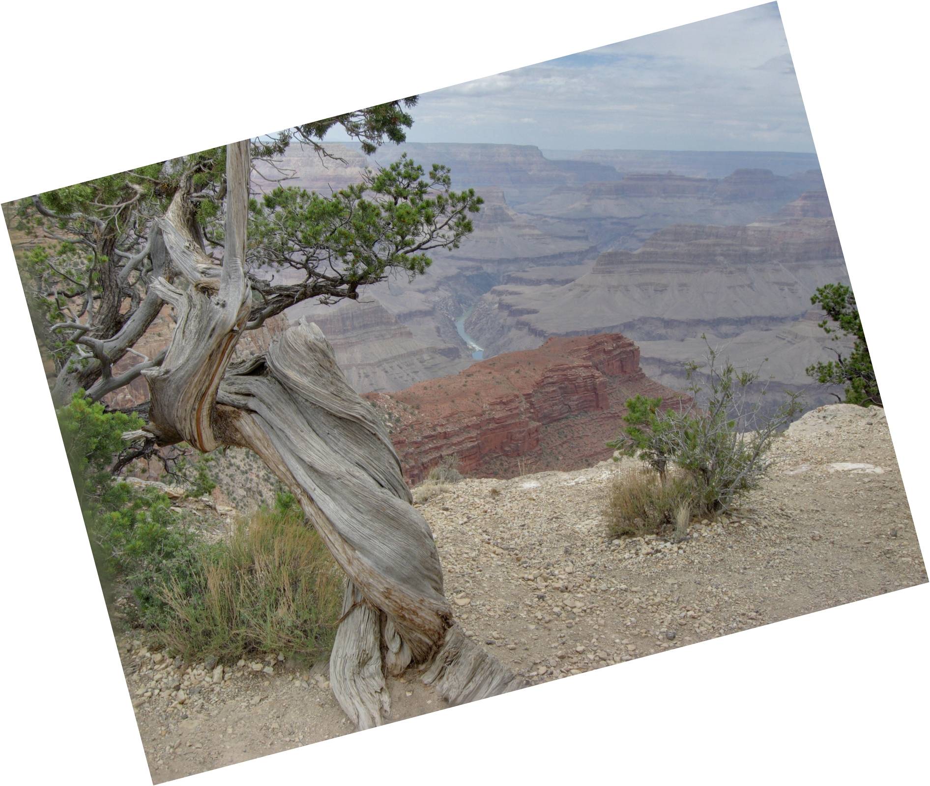 Image: The Grand Canyon as seen from the southern rim
