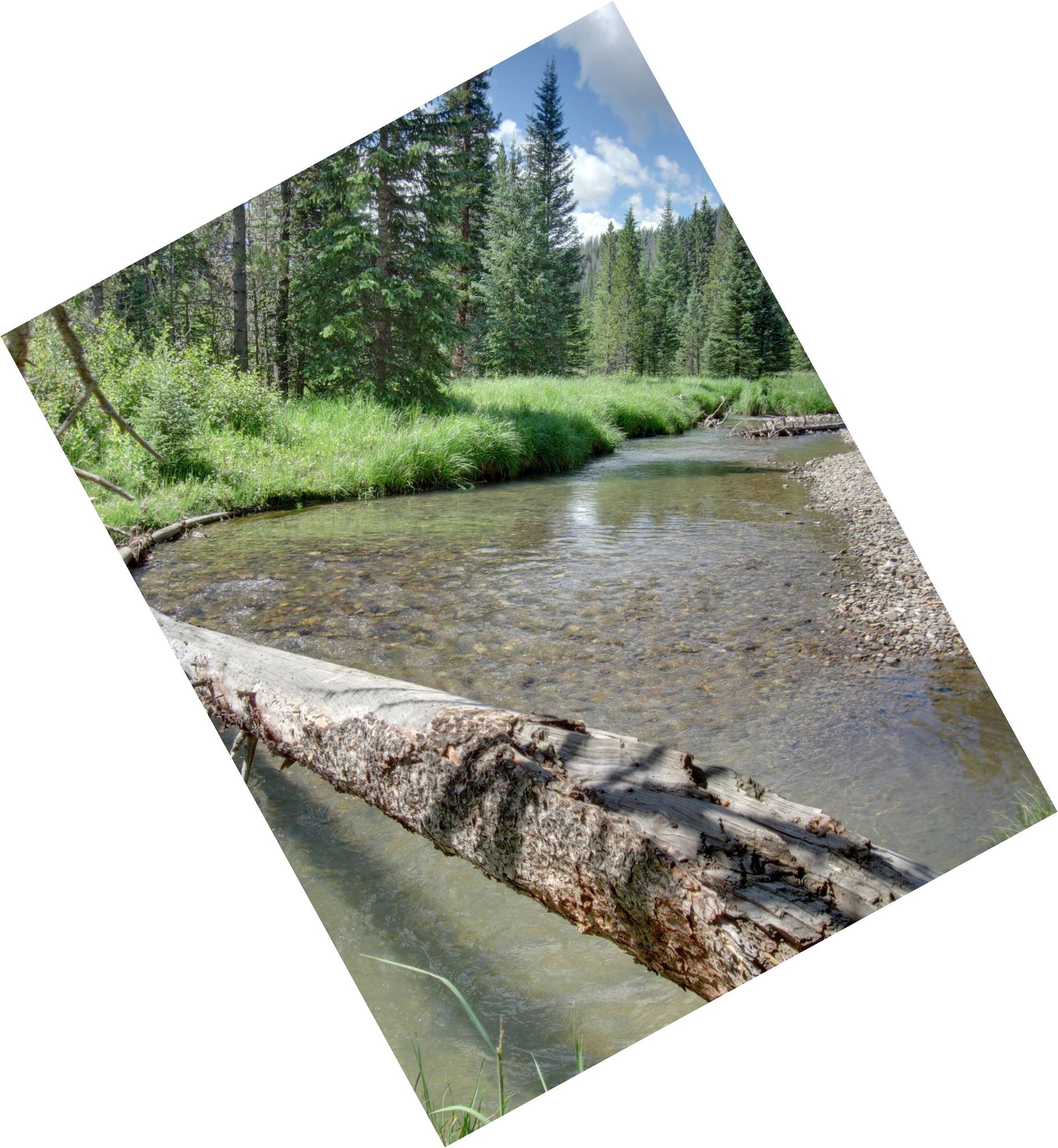 Image: A log across the Colorado River near the Colorado River Trailhead