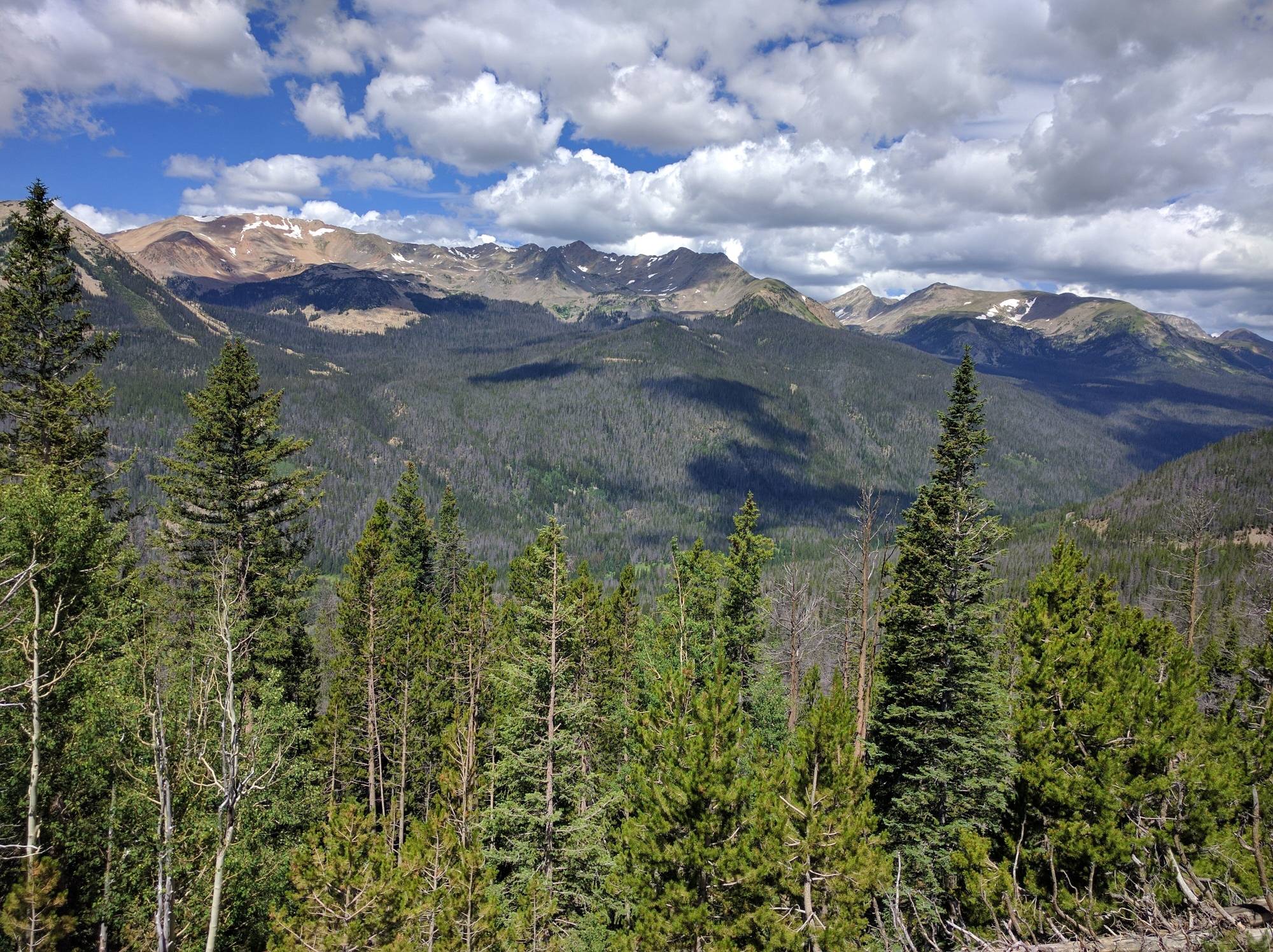 Image: A view from the Farview Curve of the Trail Ridge Road