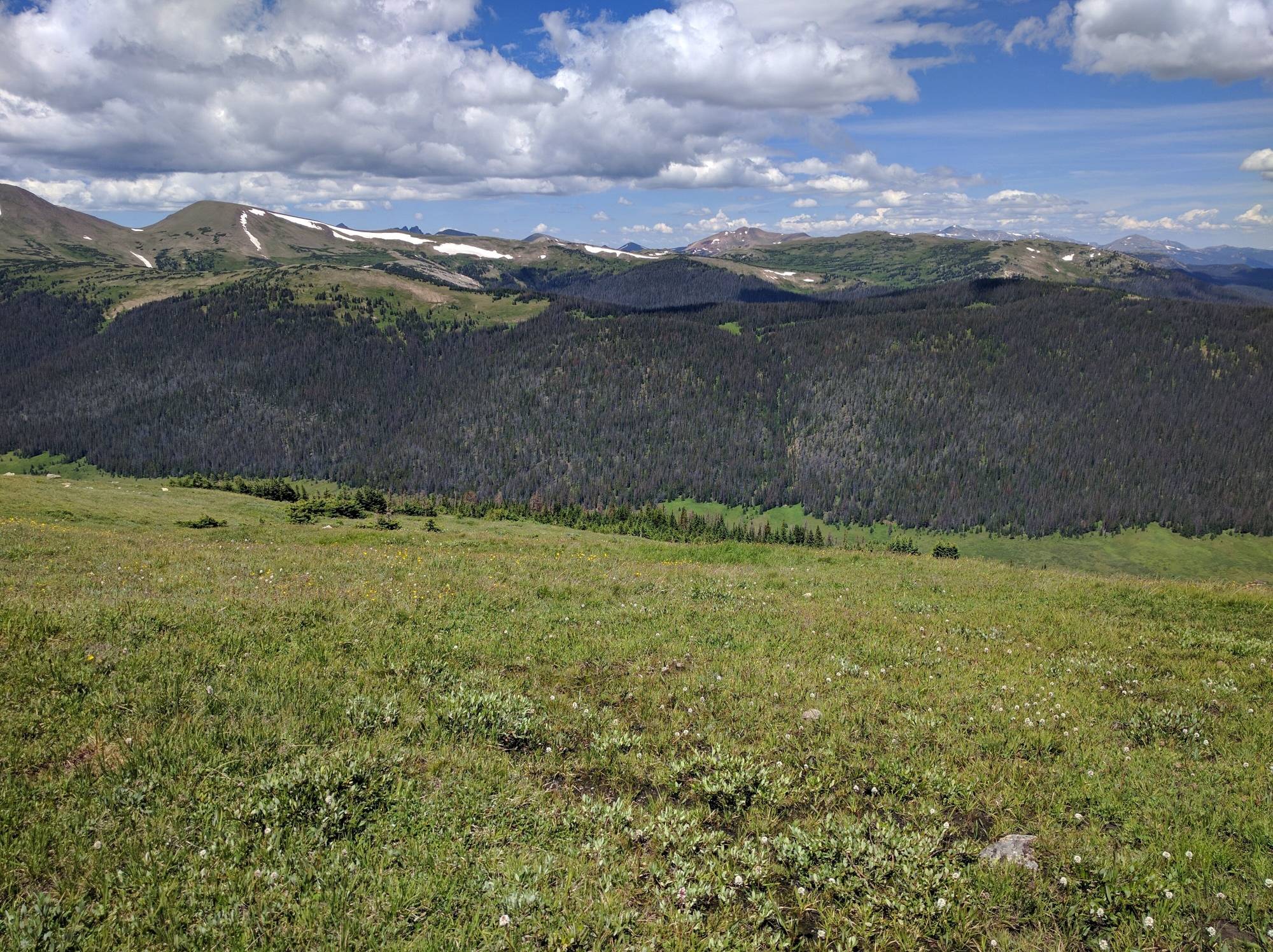 Image: A view from the Medicine Bow Curve of the Trail Ridge Road