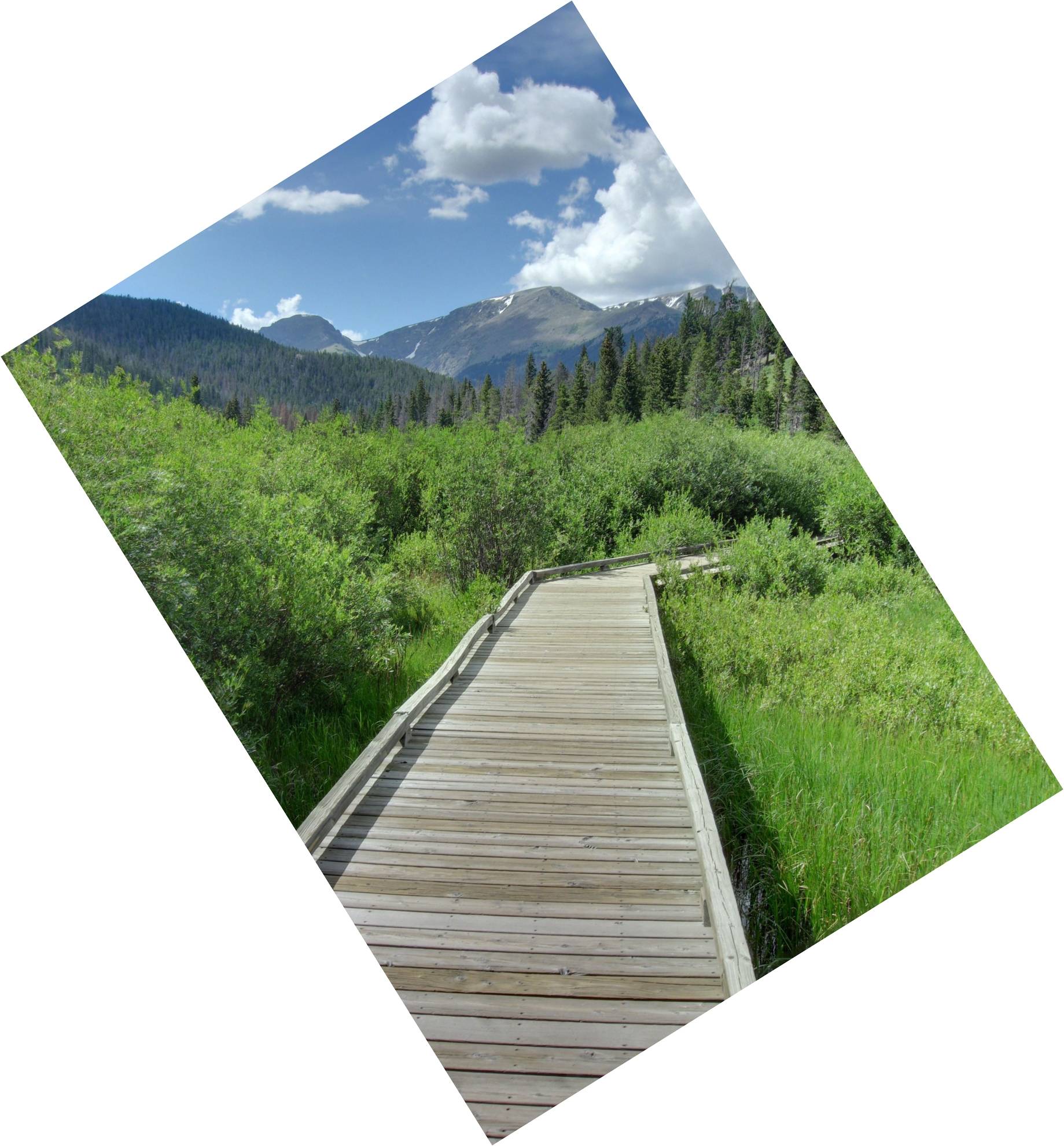 Image: A plank trail to the Beaver Ponds