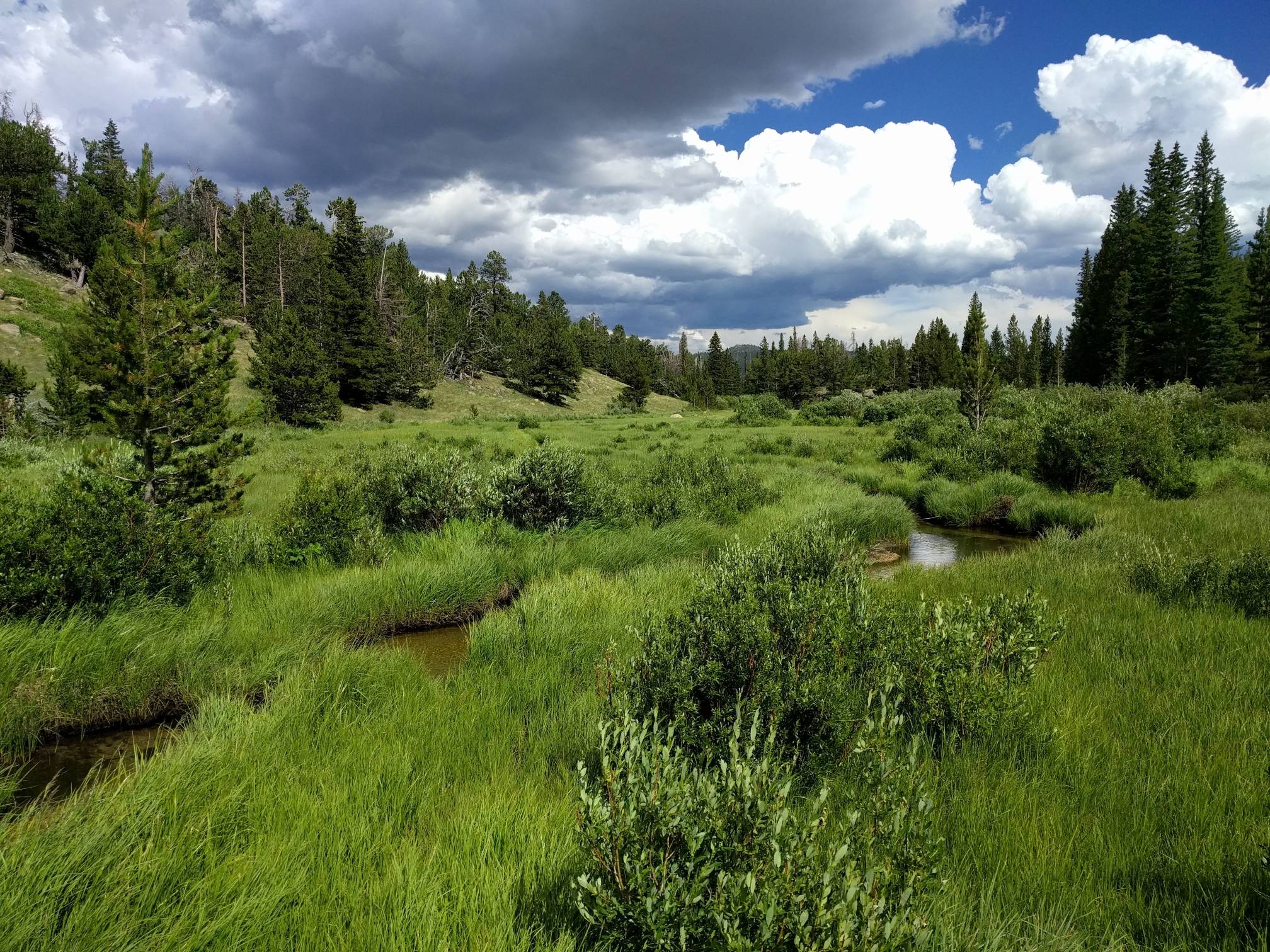 Image: The Hidden Valley Creek as seen from the Beaver Ponds