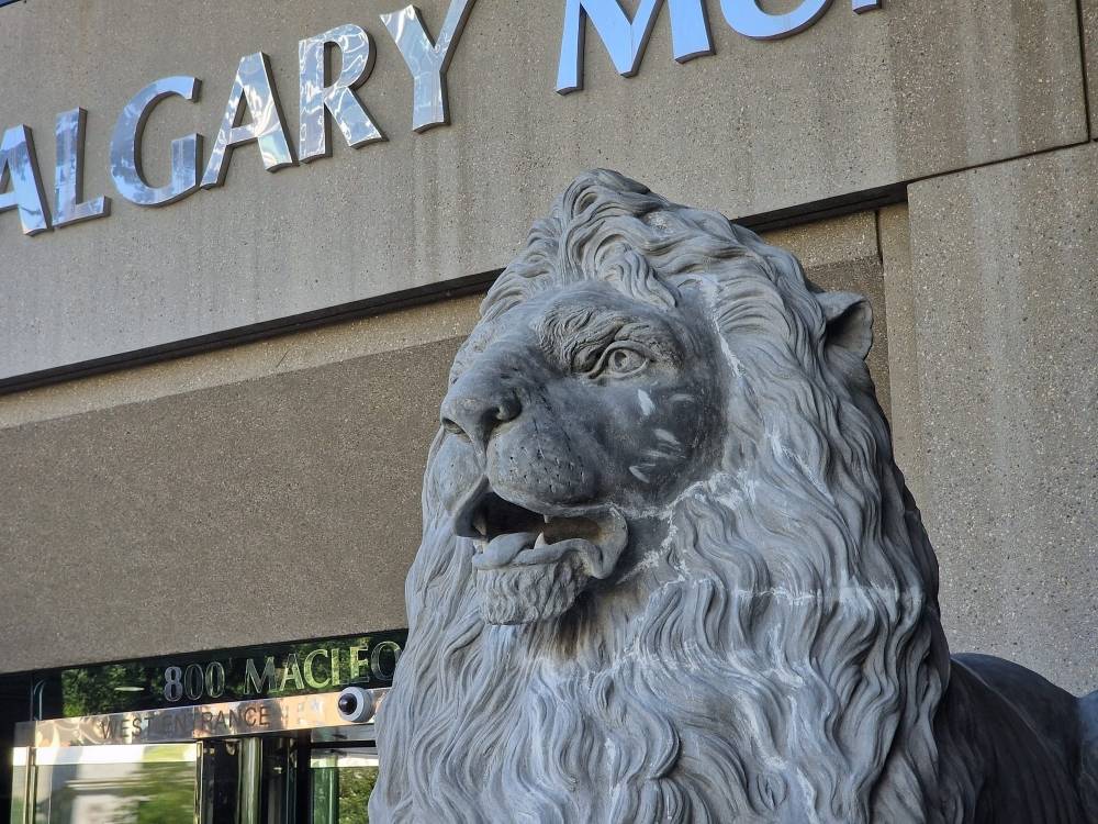 A lion statue in front of Calgary City Hall