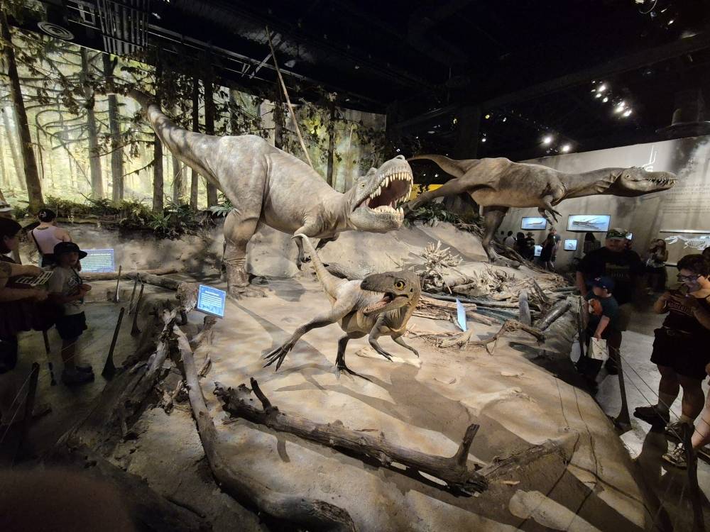 Royal Tyrrell Museum
